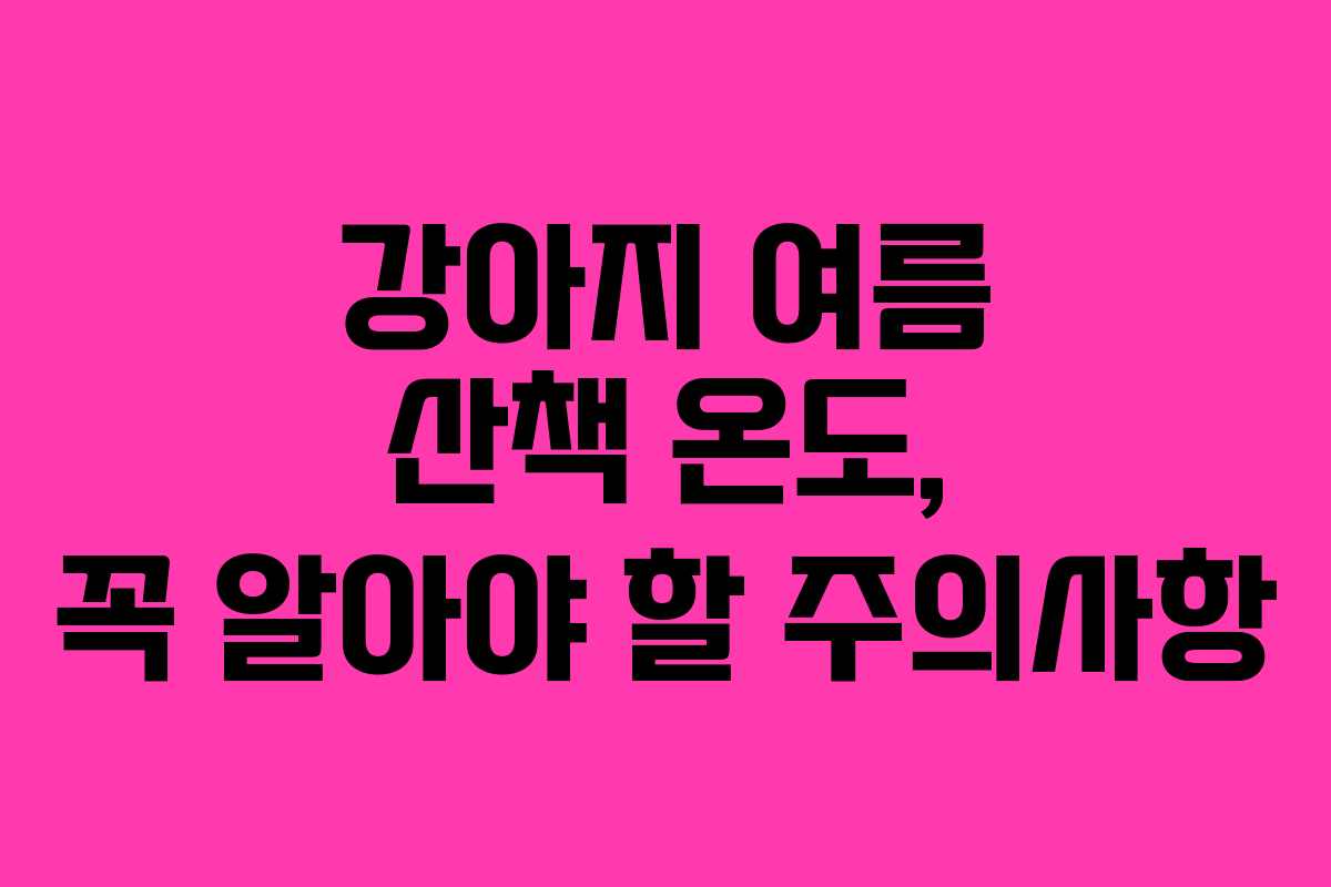 강아지 여름 산책 온도, 꼭 알아야 할 주의사항 강아지 여름 산책 온도, 꼭 알아야 할 주의사항
