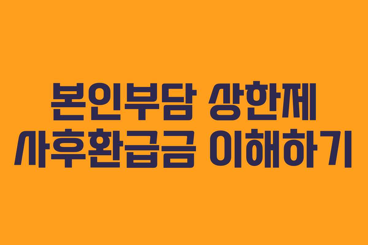 본인부담 상한제 사후환급금 이해하기 본인부담 상한제 사후환급금 이해하기