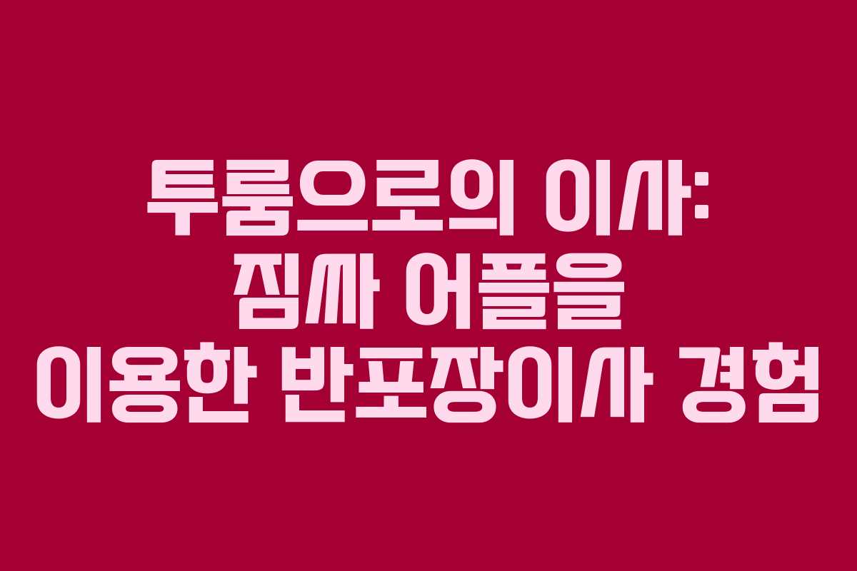 투룸으로의 이사: 짐싸 어플을 이용한 반포장이사 경험 투룸으로의 이사: 짐싸 어플을 이용한 반포장이사 경험