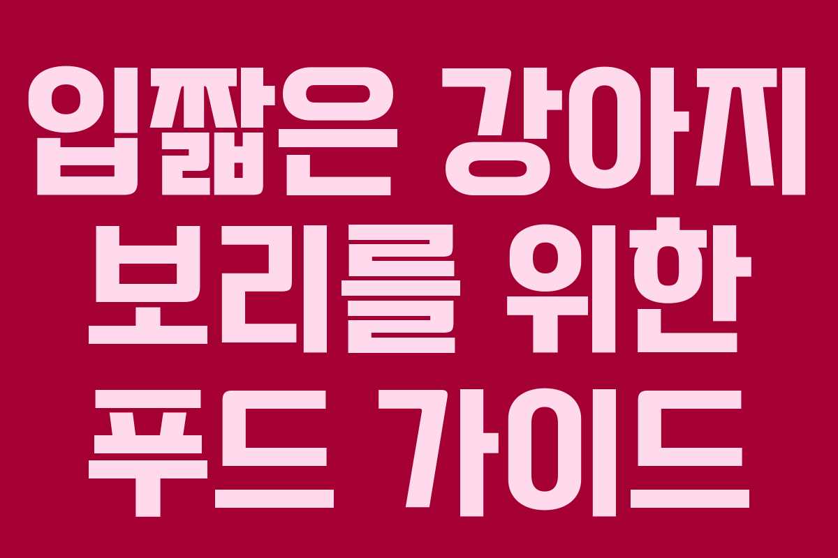 입짧은 강아지 보리를 위한 푸드 가이드