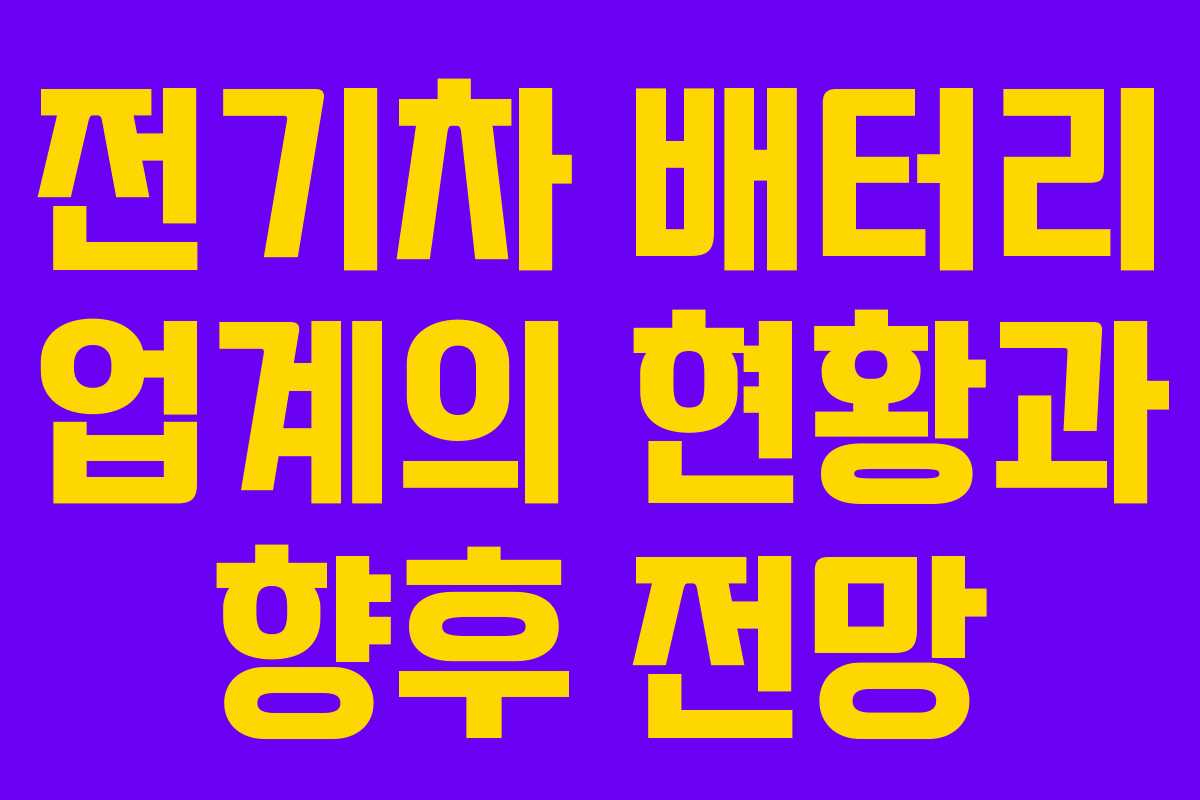 전기차 배터리 업계의 현황과 향후 전망 전기차 배터리 업계의 현황과 향후 전망