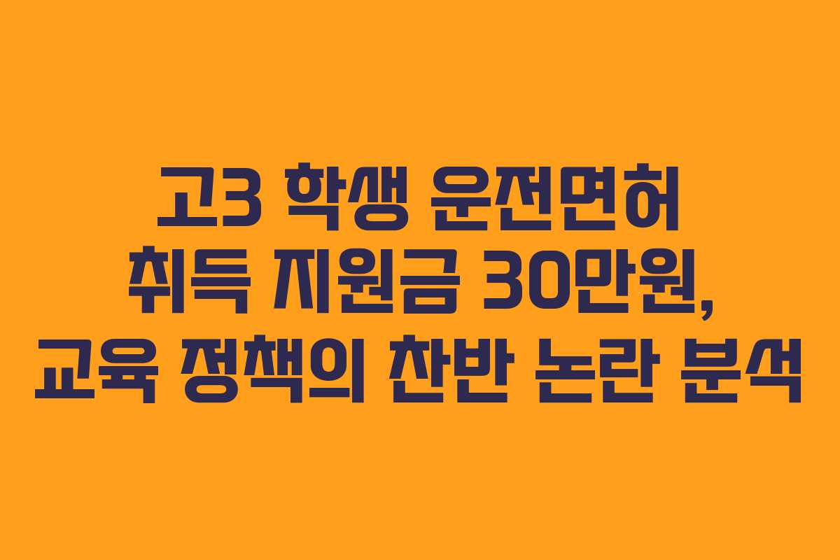 고3 학생 운전면허 취득 지원금 30만원, 교육 정책의 찬반 논란 분석