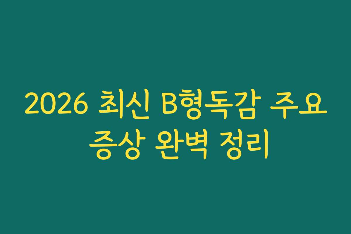 2026 최신 B형독감 주요 증상 완벽 정리
