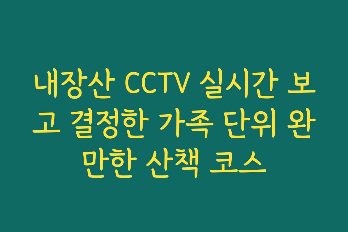 내장산 CCTV 실시간 보고 결정한 가족 단위 완만한 산책 코스