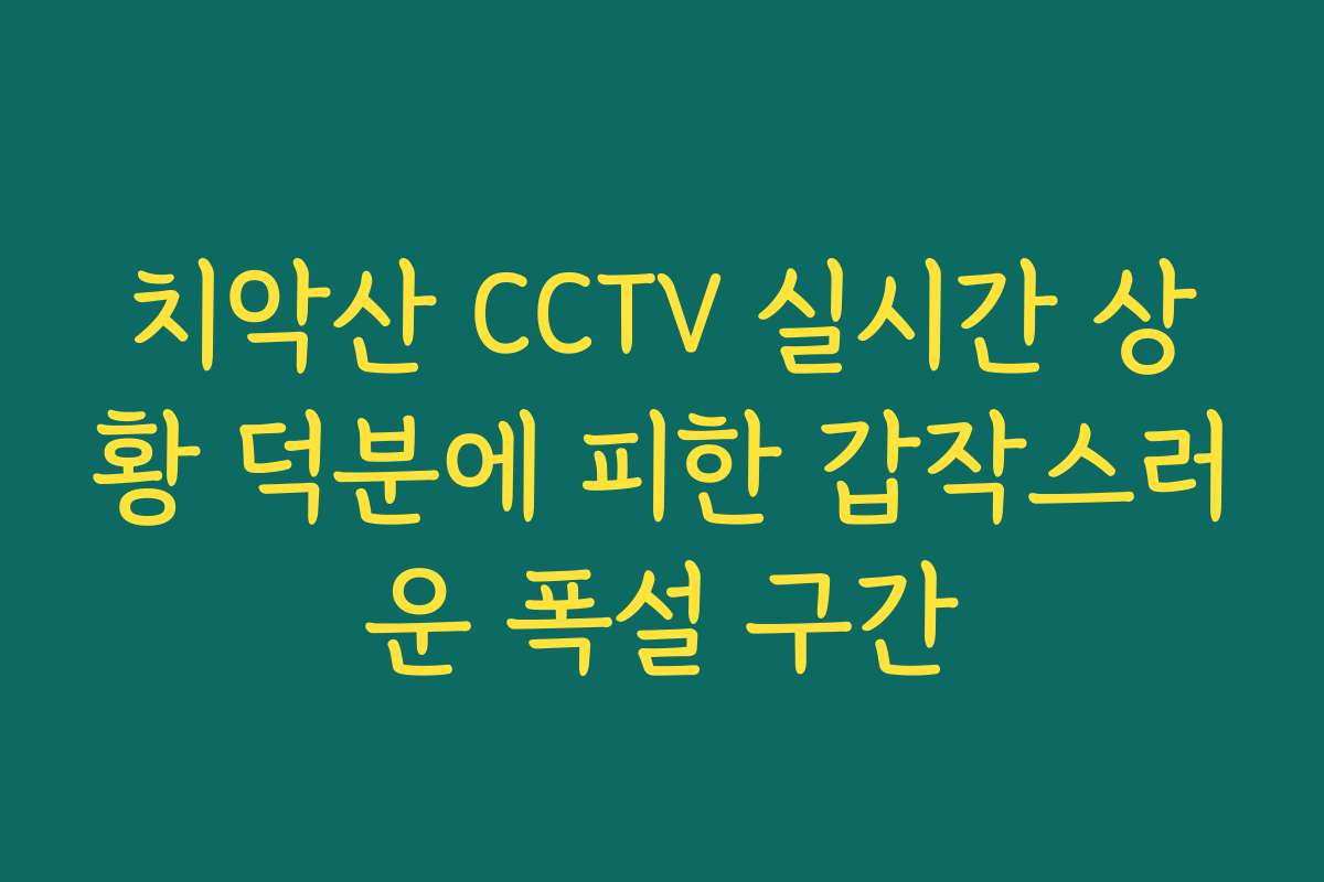 치악산 CCTV 실시간 상황 덕분에 피한 갑작스러운 폭설 구간