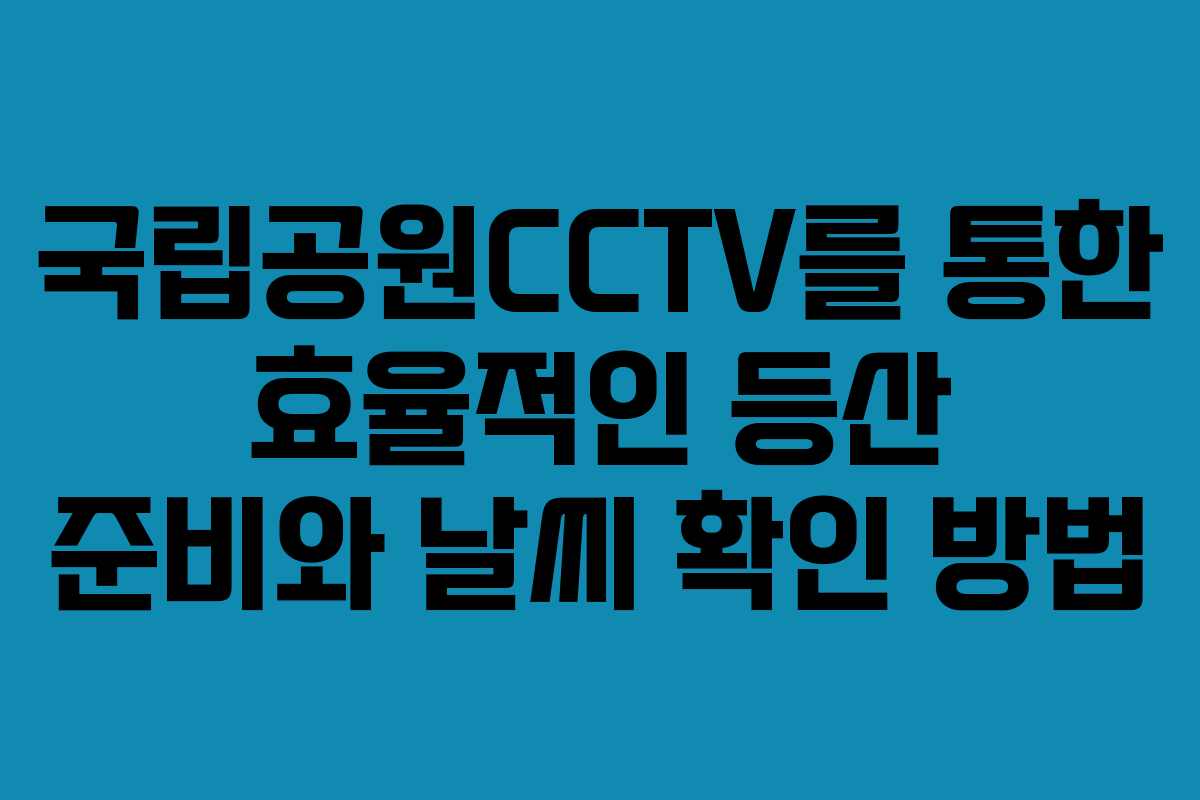 국립공원CCTV를 통한 효율적인 등산 준비와 날씨 확인 방법