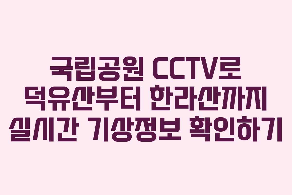 국립공원 CCTV로 덕유산부터 한라산까지 실시간 기상정보 확인하기