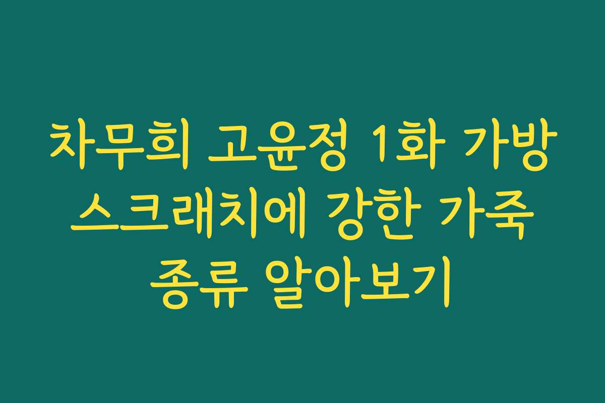 차무희 고윤정 1화 가방 스크래치에 강한 가죽 종류 알아보기