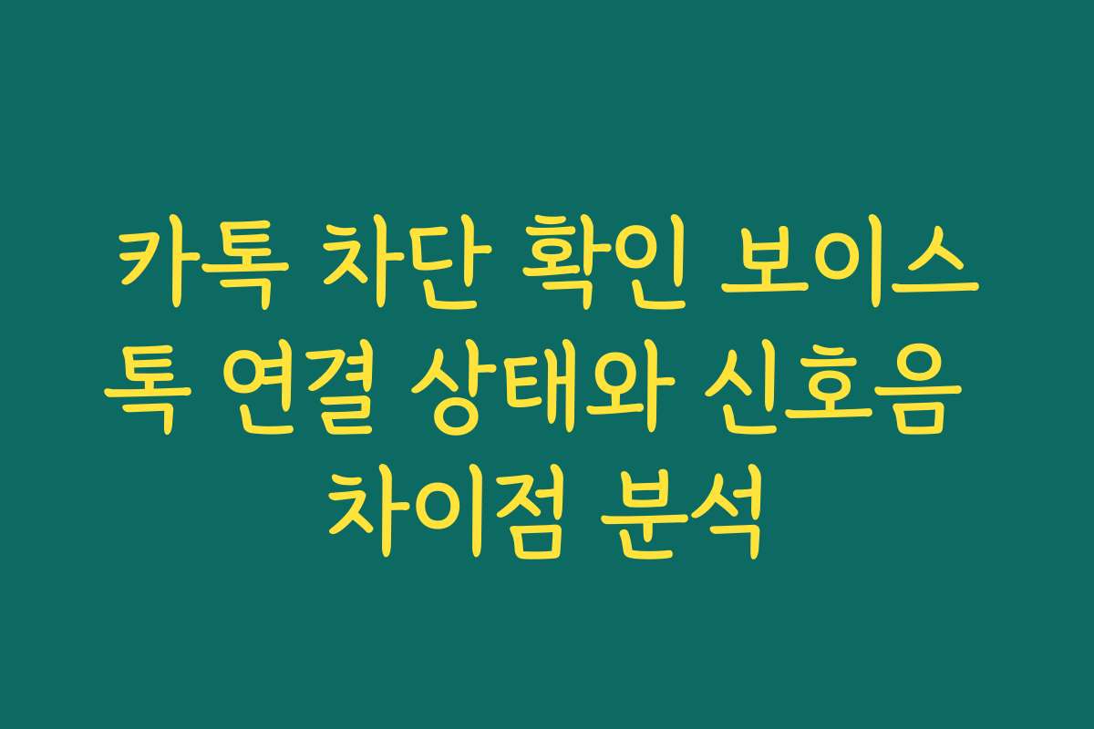카톡 차단 확인 보이스톡 연결 상태와 신호음 차이점 분석