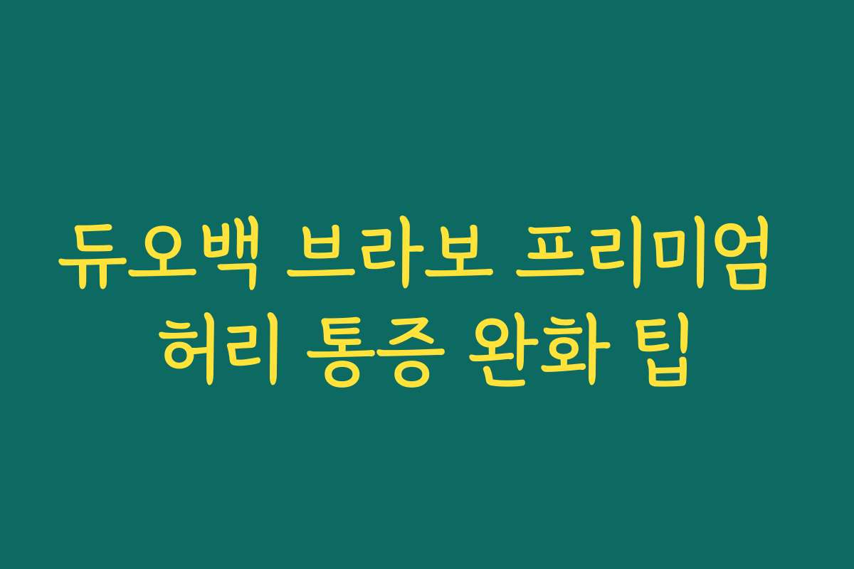 듀오백 브라보 프리미엄 허리 통증 완화 팁