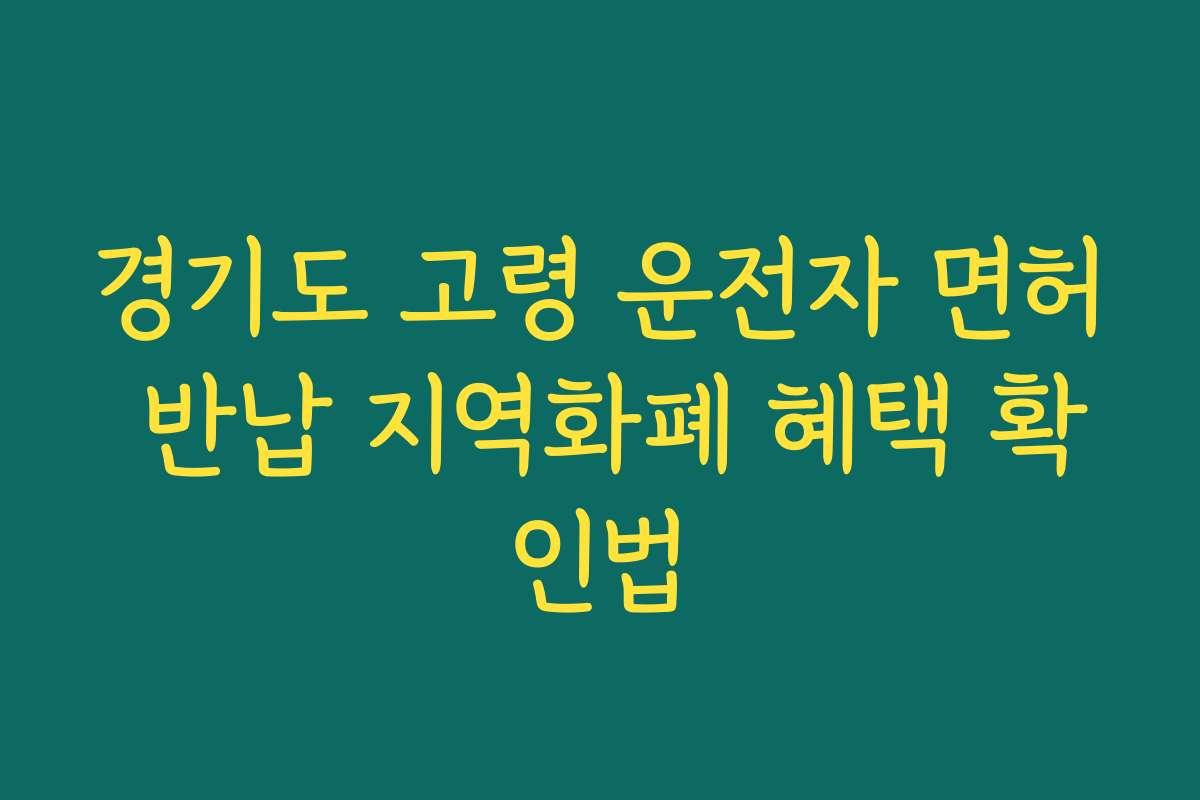 경기도 고령 운전자 면허 반납 지역화폐 혜택 확인법