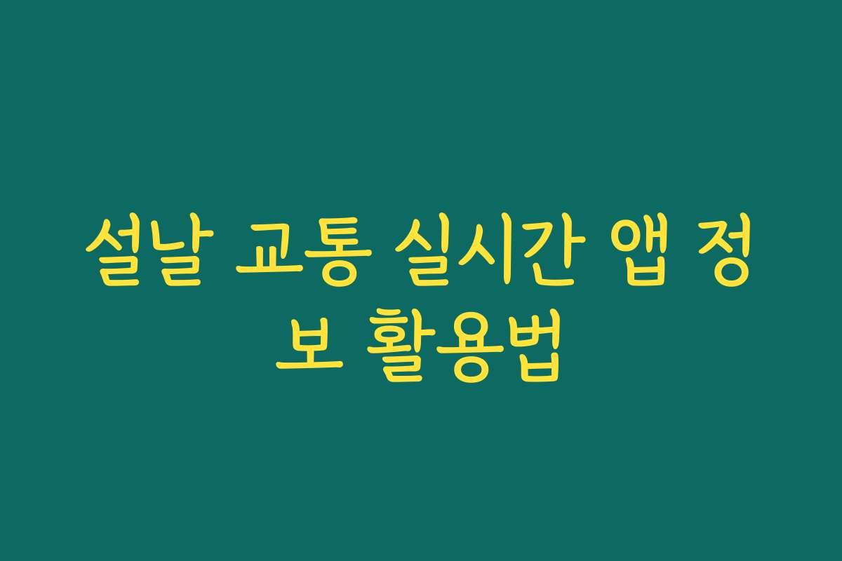 설날 교통 실시간 앱 정보 활용법