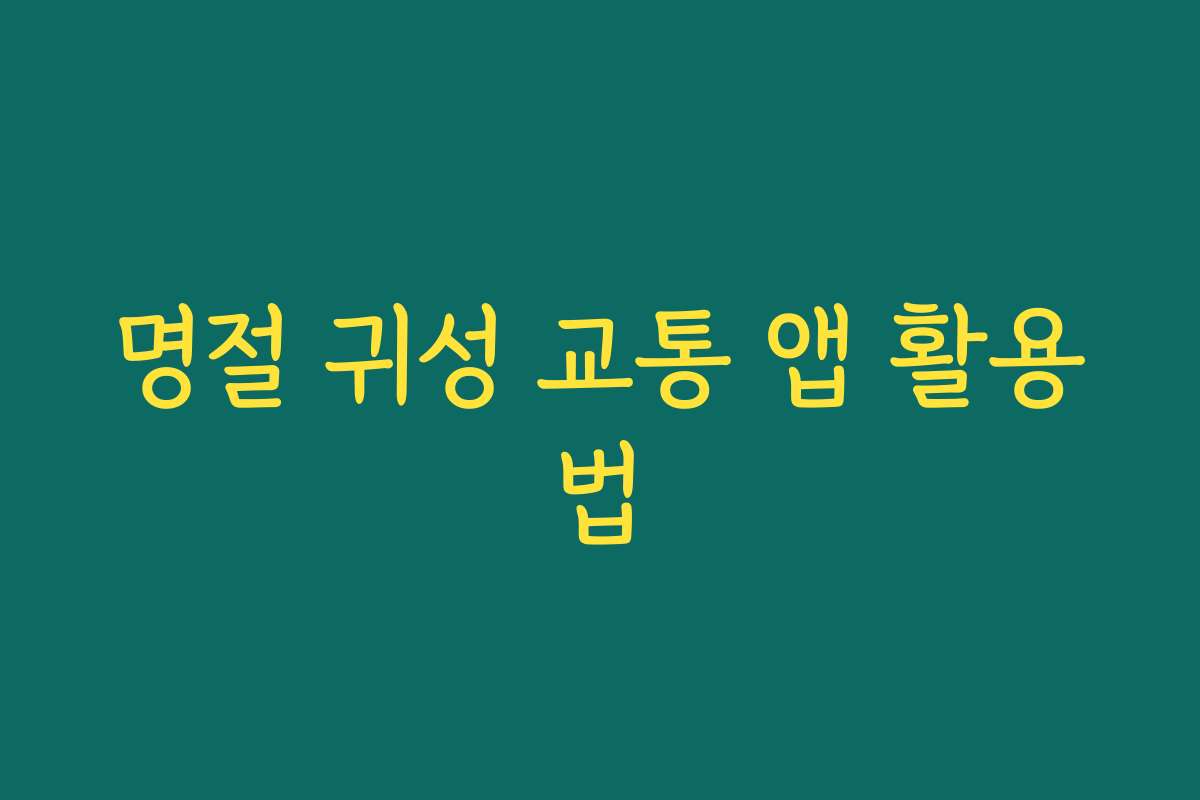 명절 귀성 교통 앱 활용법