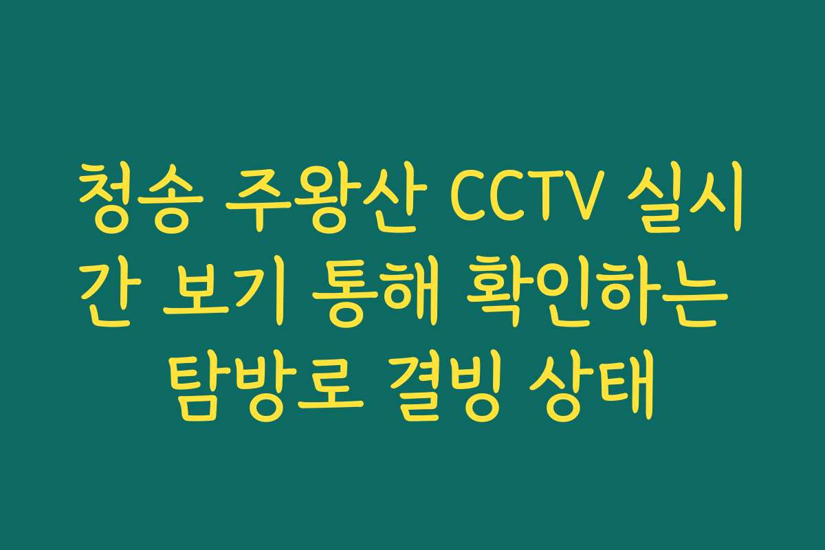 청송 주왕산 CCTV 실시간 보기 통해 확인하는 탐방로 결빙 상태