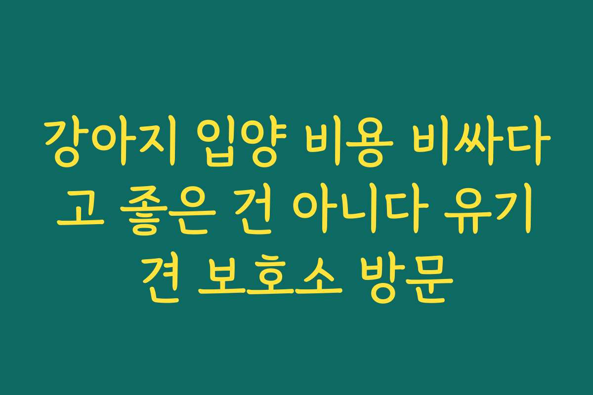 강아지 입양 비용 비싸다고 좋은 건 아니다 유기견 보호소 방문