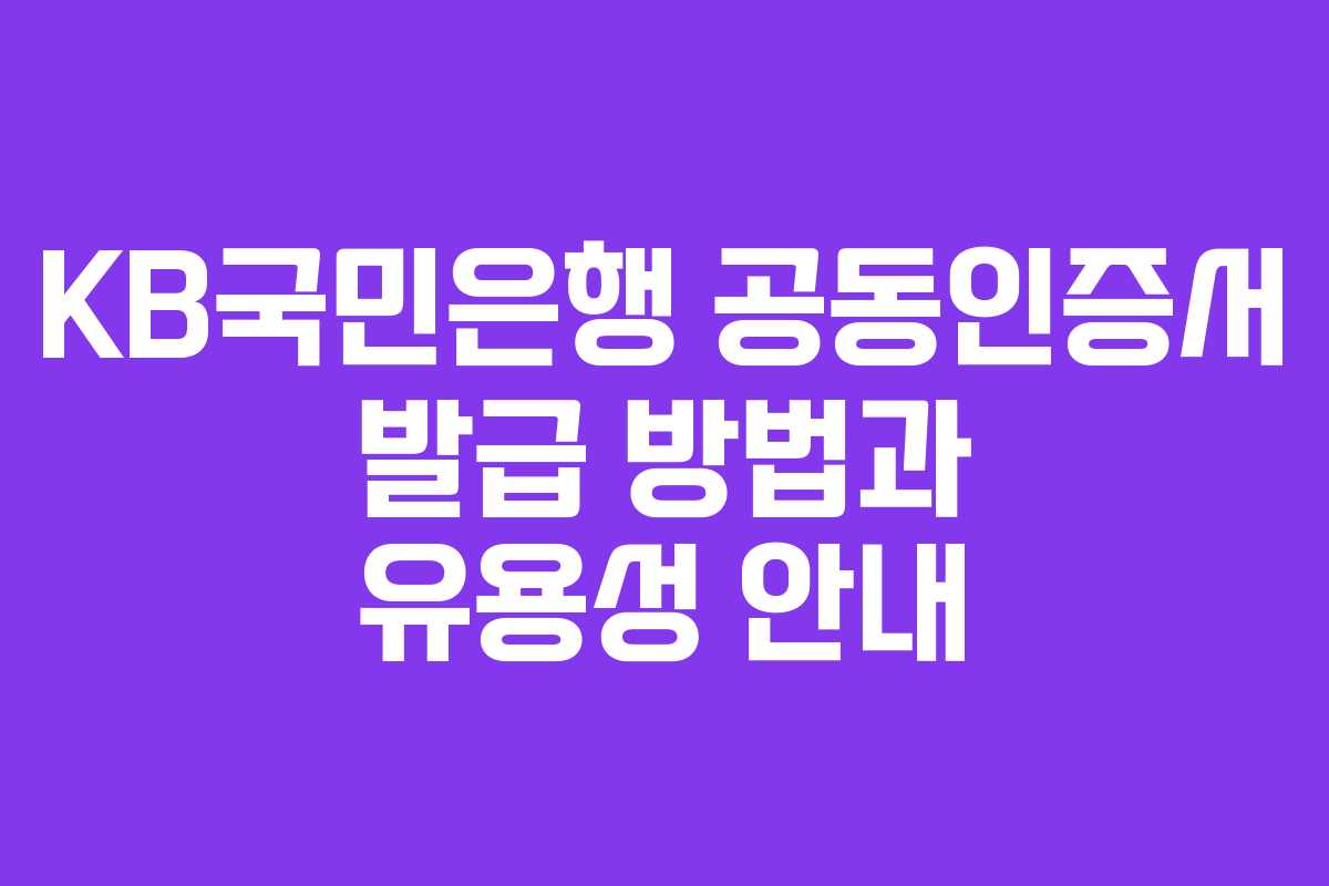 KB국민은행 공동인증서 발급 방법과 유용성 안내 KB국민은행 공동인증서 발급 방법과 유용성 안내