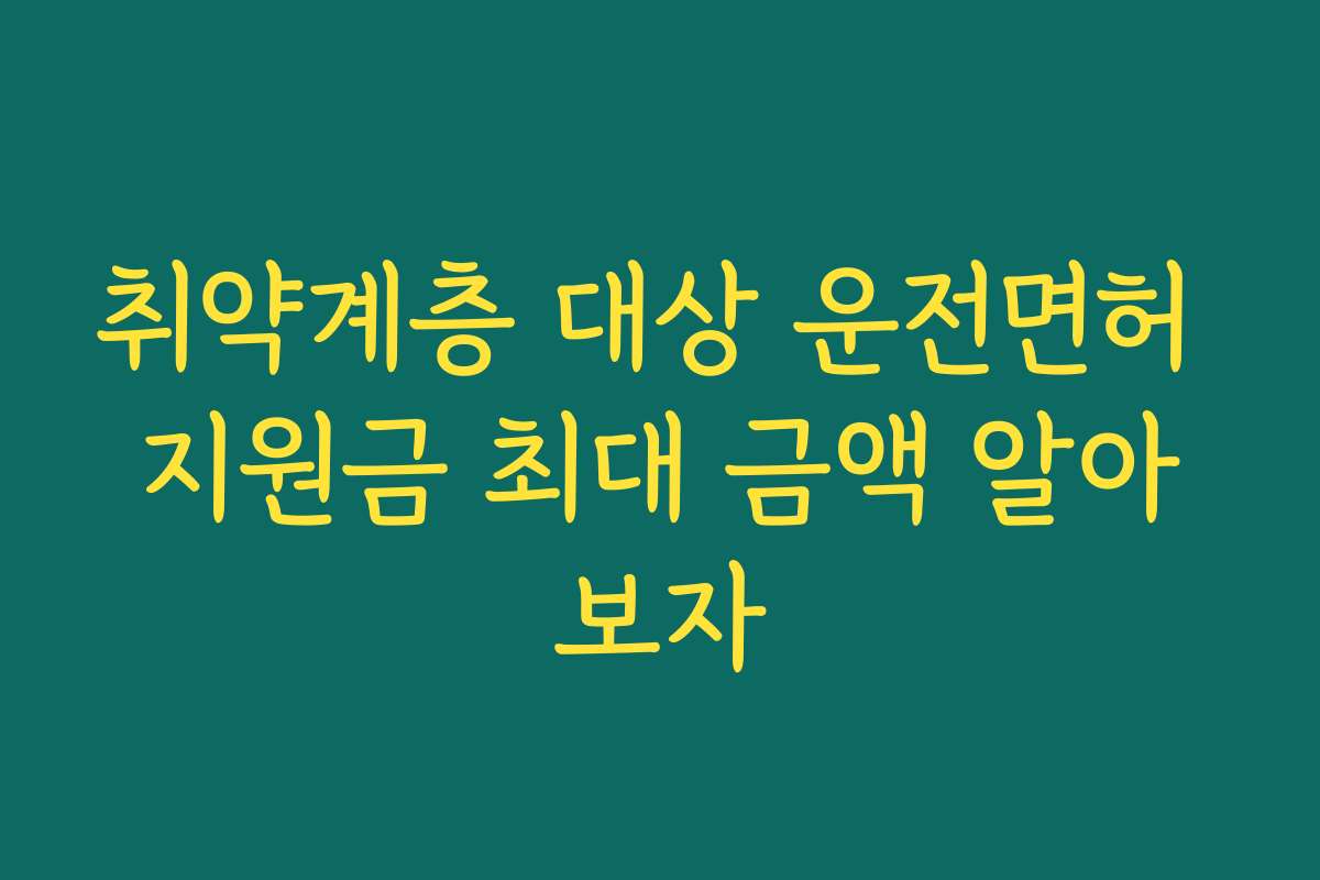 취약계층 대상 운전면허 지원금 최대 금액 알아보자