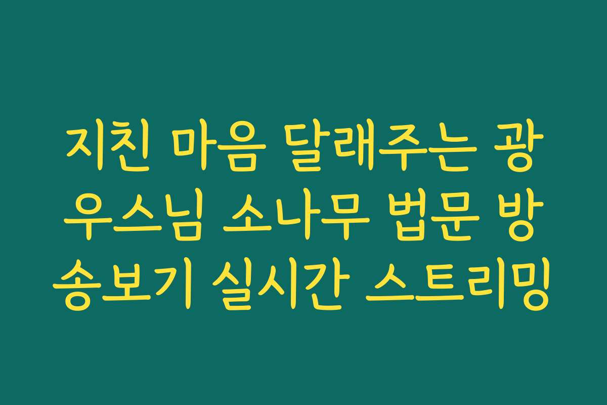 지친 마음 달래주는 광우스님 소나무 법문 방송보기 실시간 스트리밍