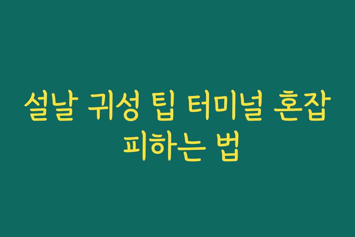 설날 귀성 팁 터미널 혼잡 피하는 법