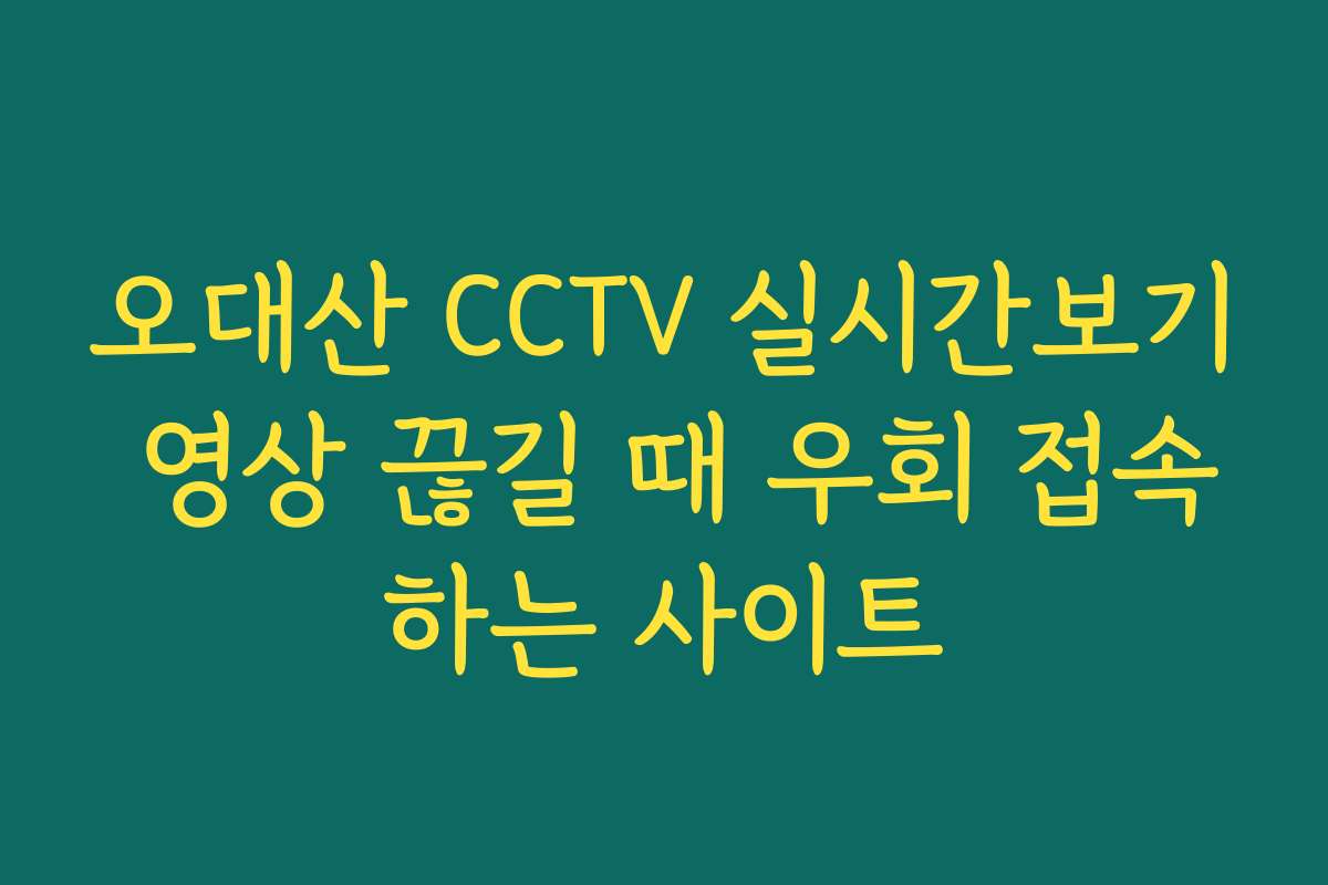 오대산 CCTV 실시간보기 영상 끊길 때 우회 접속하는 사이트