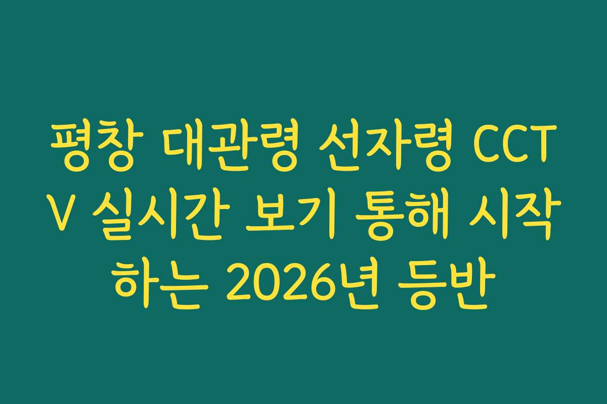 평창 대관령 선자령 CCTV 실시간 보기 통해 시작하는 2026년 등반