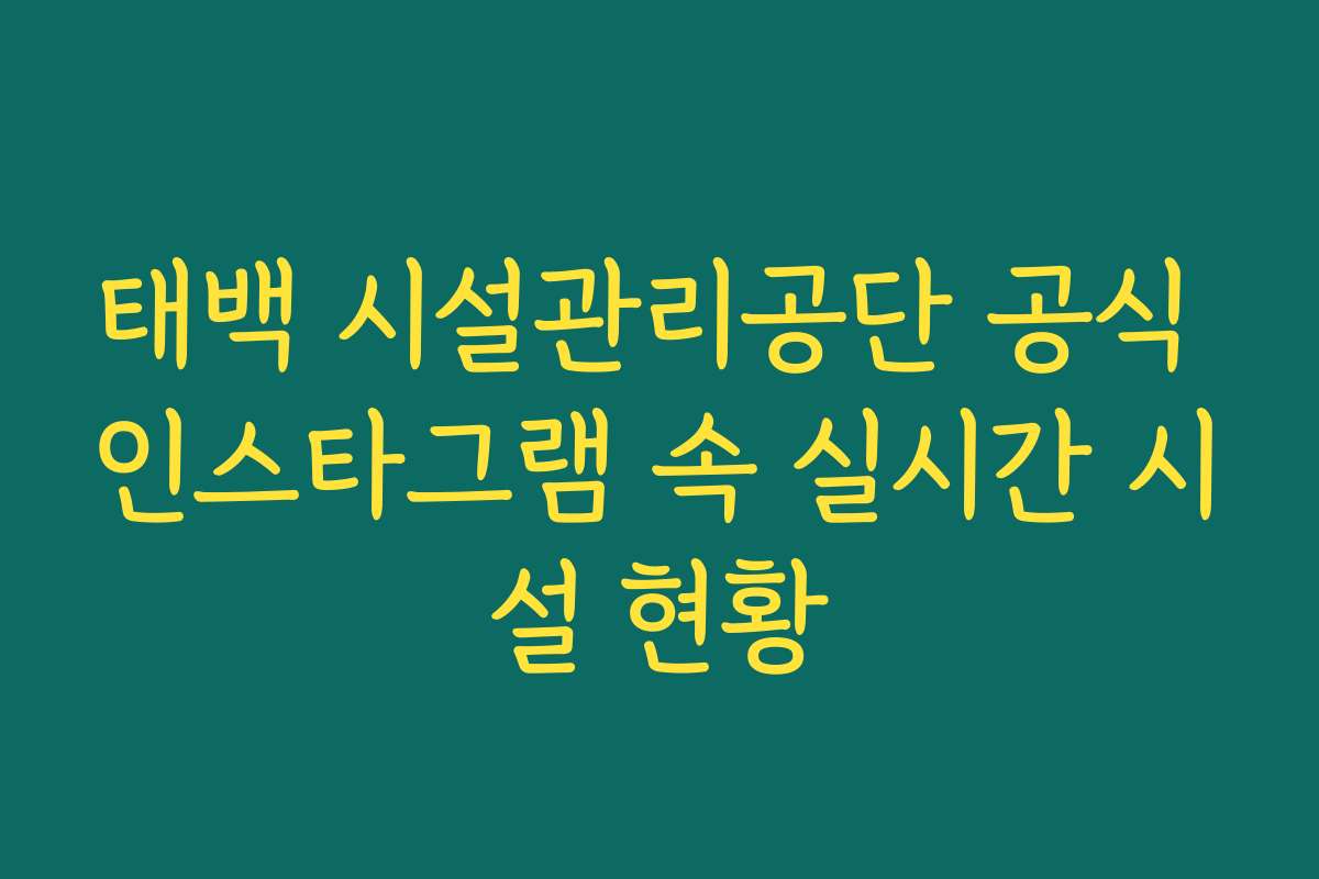 태백 시설관리공단 공식 인스타그램 속 실시간 시설 현황