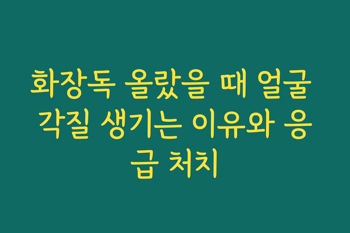화장독 올랐을 때 얼굴 각질 생기는 이유와 응급 처치 화장독 올랐을 때 얼굴 각질 생기는 이유와 응급 처치