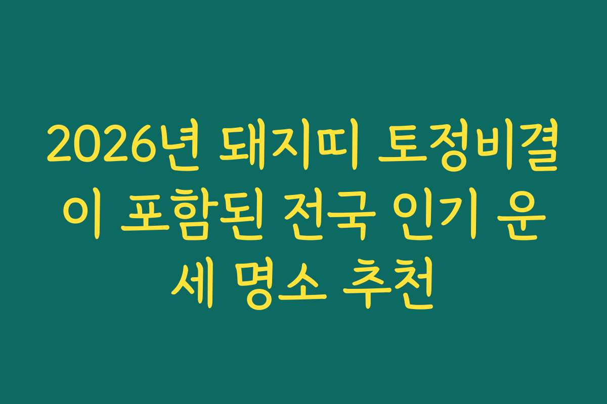 2026년 돼지띠 토정비결이 포함된 전국 인기 운세 명소 추천