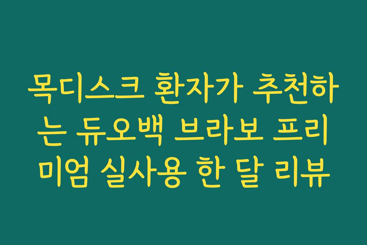 목디스크 환자가 추천하는 듀오백 브라보 프리미엄 실사용 한 달 리뷰