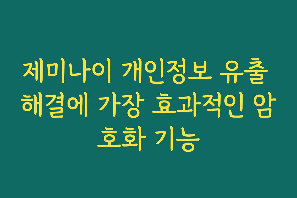 제미나이 개인정보 유출 해결에 가장 효과적인 암호화 기능