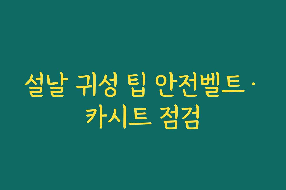 설날 귀성 팁 안전벨트·카시트 점검