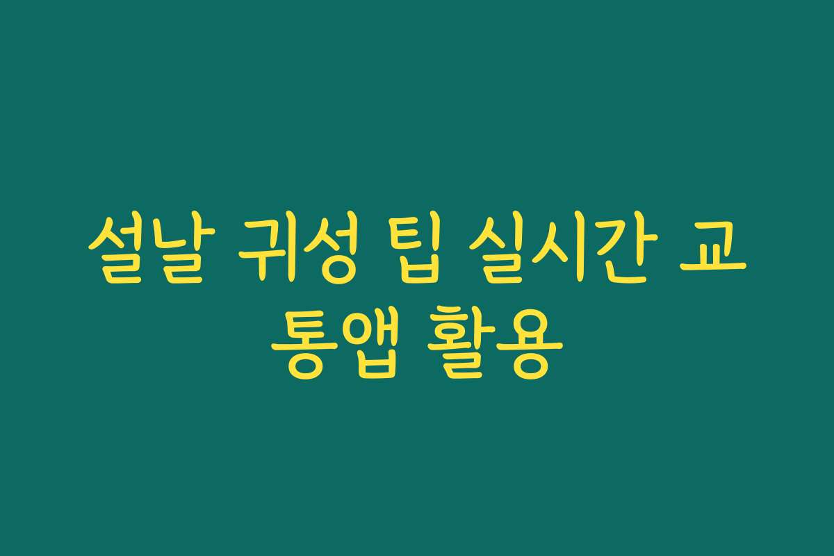 설날 귀성 팁 실시간 교통앱 활용