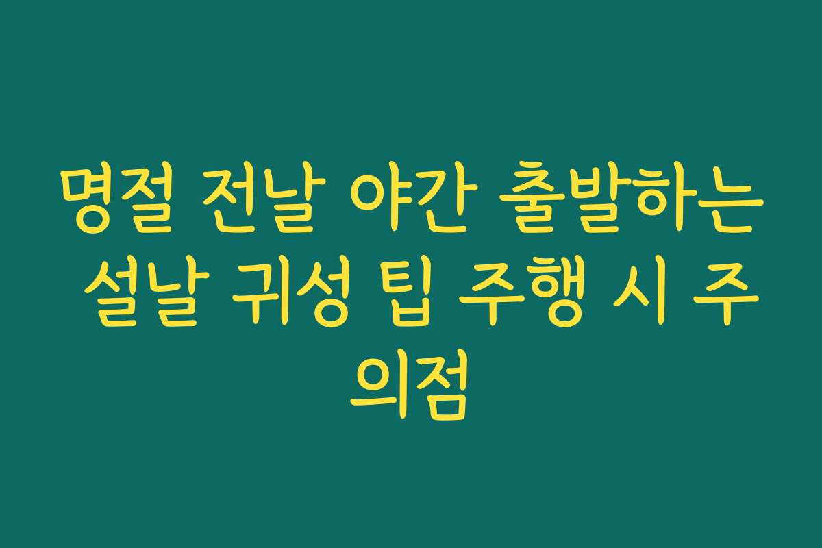 명절 전날 야간 출발하는 설날 귀성 팁 주행 시 주의점