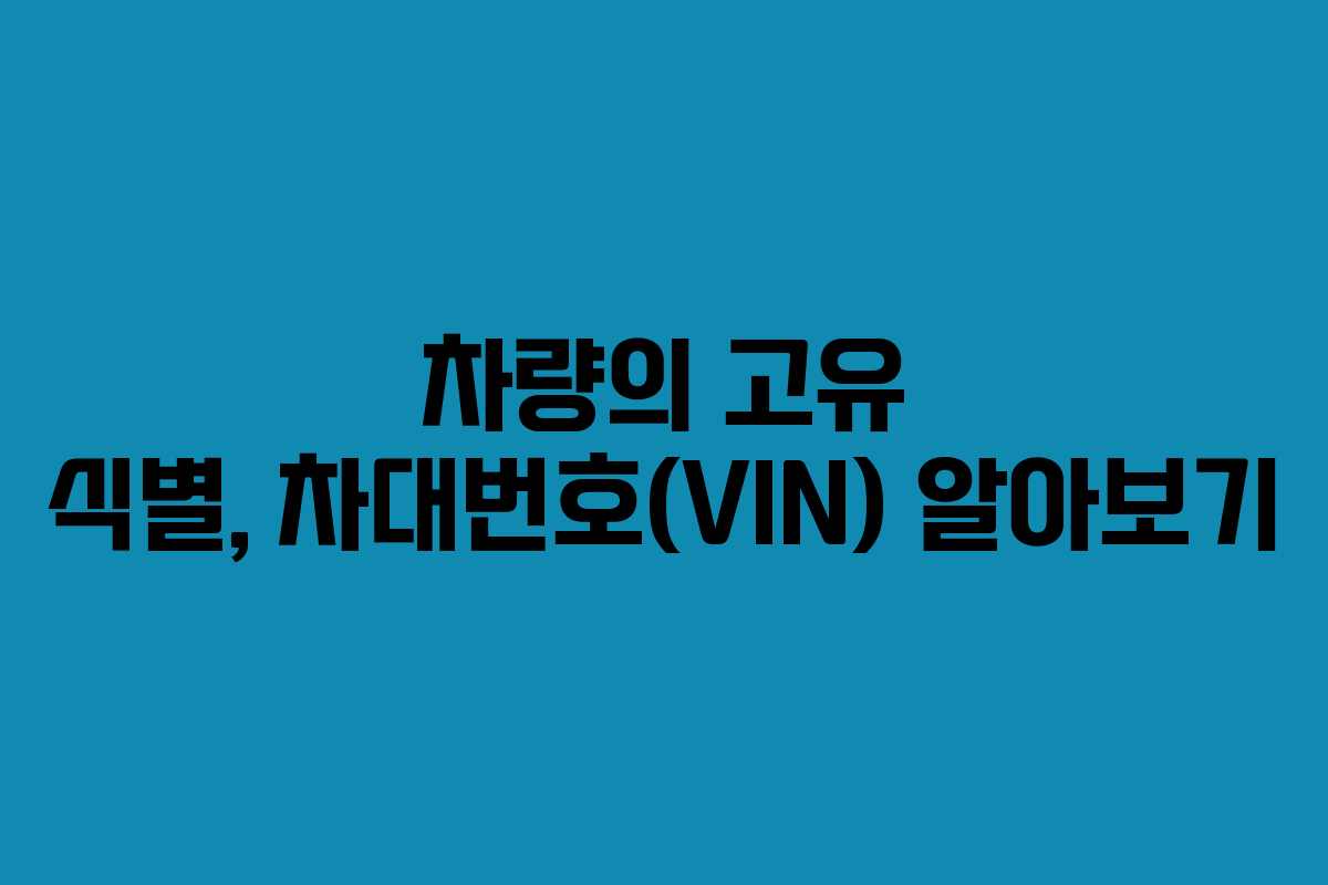 차량의 고유 식별, 차대번호(VIN) 알아보기