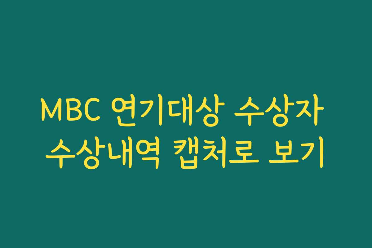 MBC 연기대상 수상자 수상내역 캡처로 보기