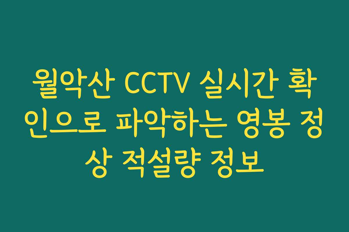 월악산 CCTV 실시간 확인으로 파악하는 영봉 정상 적설량 정보