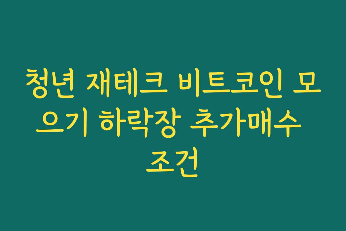 청년 재테크 비트코인 모으기 하락장 추가매수 조건