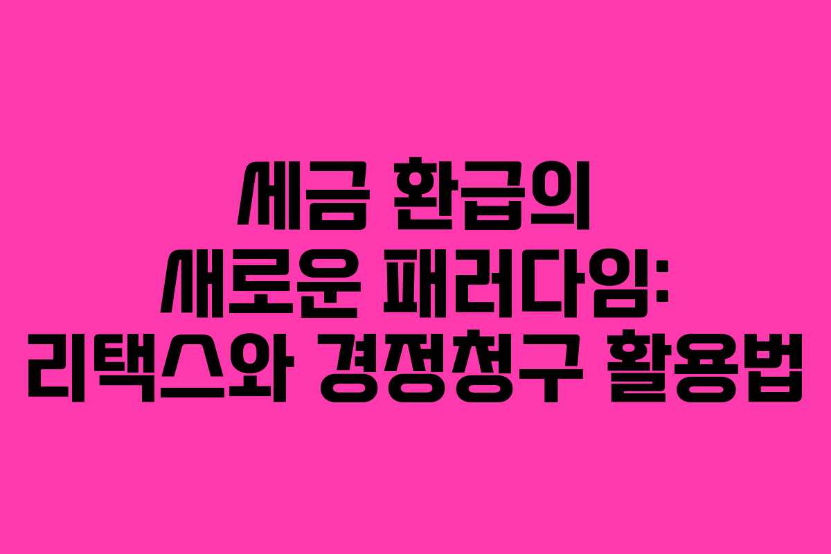 세금 환급의 새로운 패러다임: 리택스와 경정청구 활용법