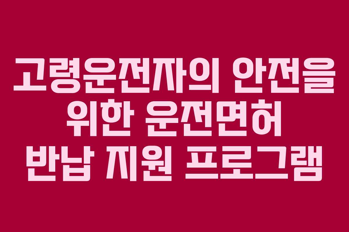 고령운전자의 안전을 위한 운전면허 반납 지원 프로그램 고령운전자의 안전을 위한 운전면허 반납 지원 프로그램