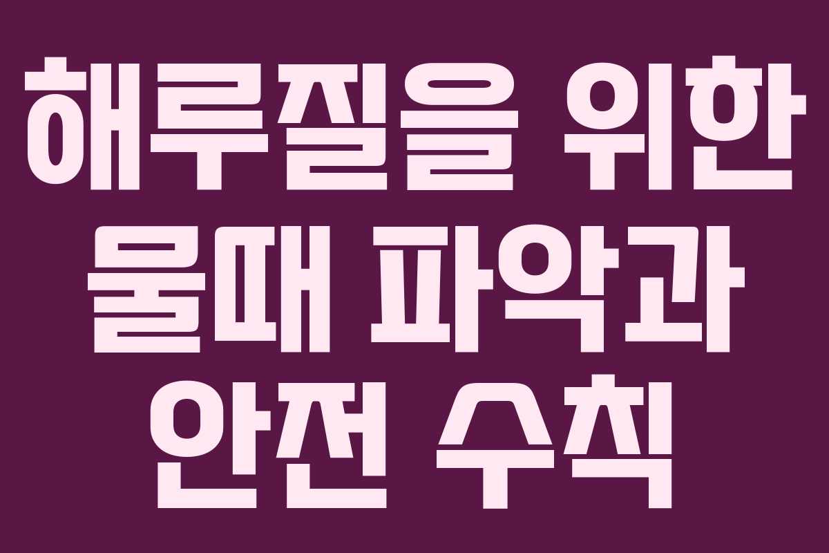해루질을 위한 물때 파악과 안전 수칙