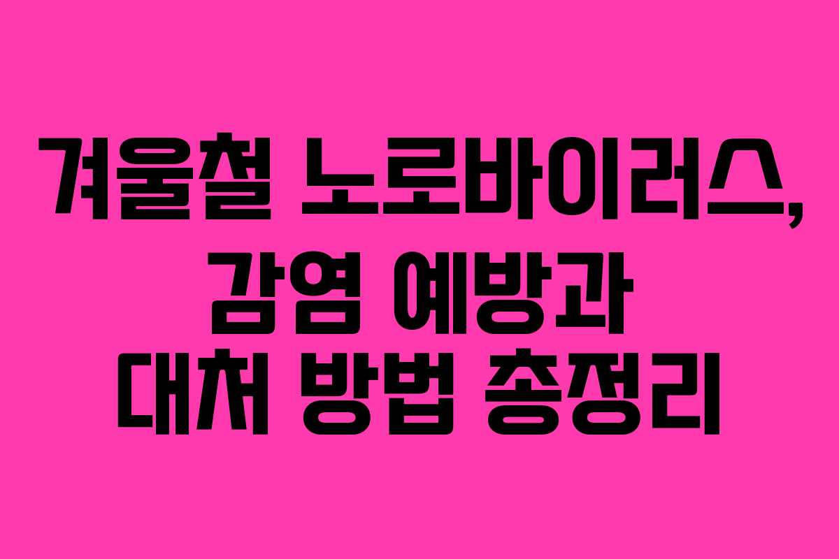 겨울철 노로바이러스, 감염 예방과 대처 방법 총정리