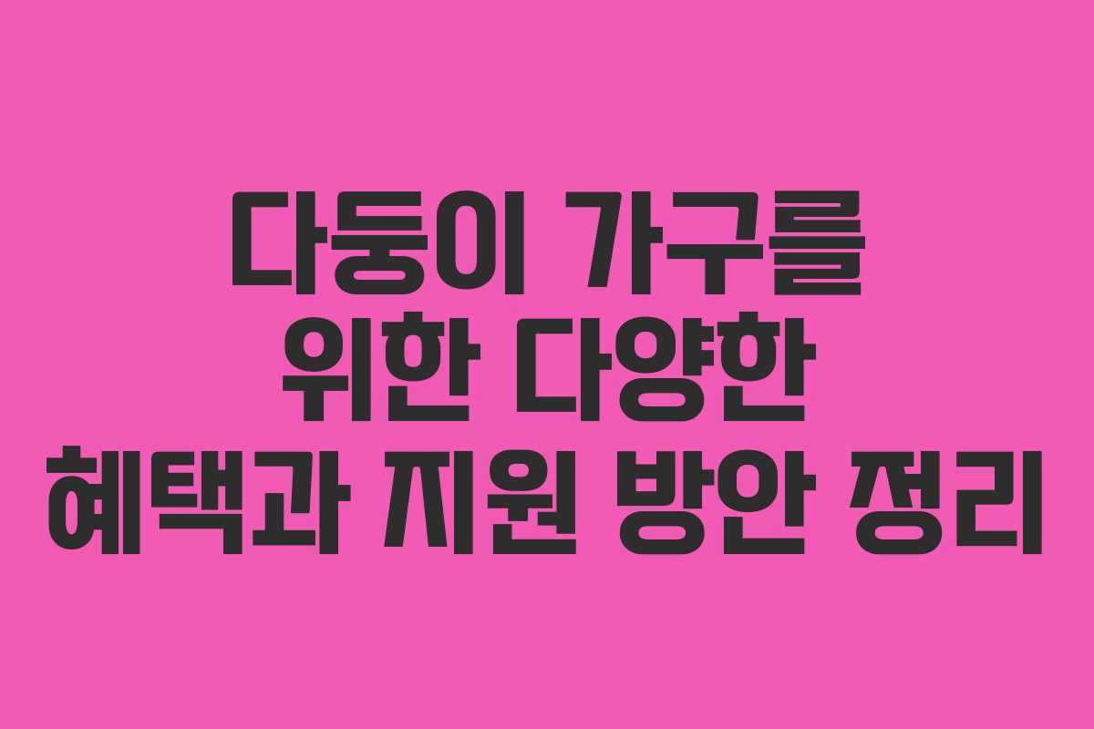 다둥이 가구를 위한 다양한 혜택과 지원 방안 정리