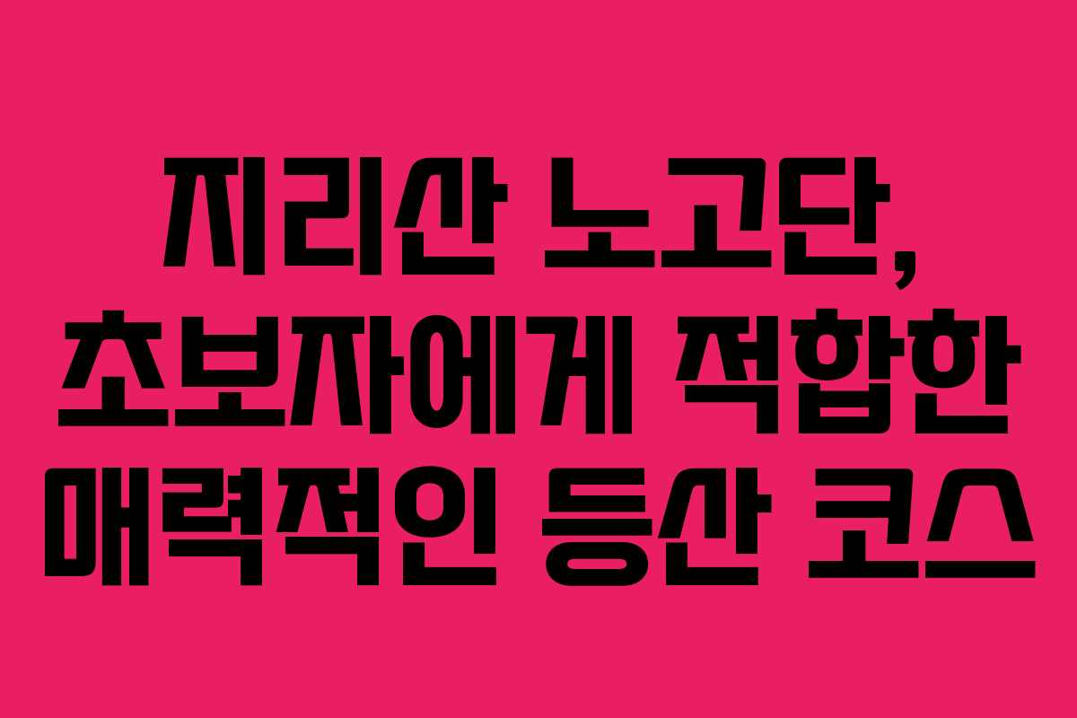 지리산 노고단, 초보자에게 적합한 매력적인 등산 코스