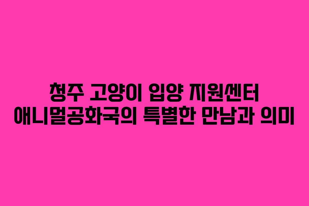 청주 고양이 입양 지원센터 애니멀공화국의 특별한 만남과 의미