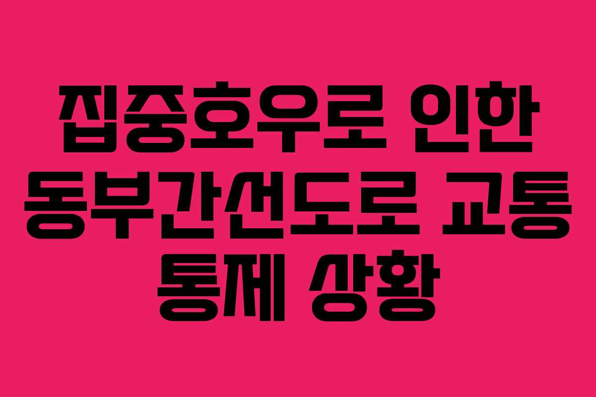 집중호우로 인한 동부간선도로 교통 통제 상황 집중호우로 인한 동부간선도로 교통 통제 상황