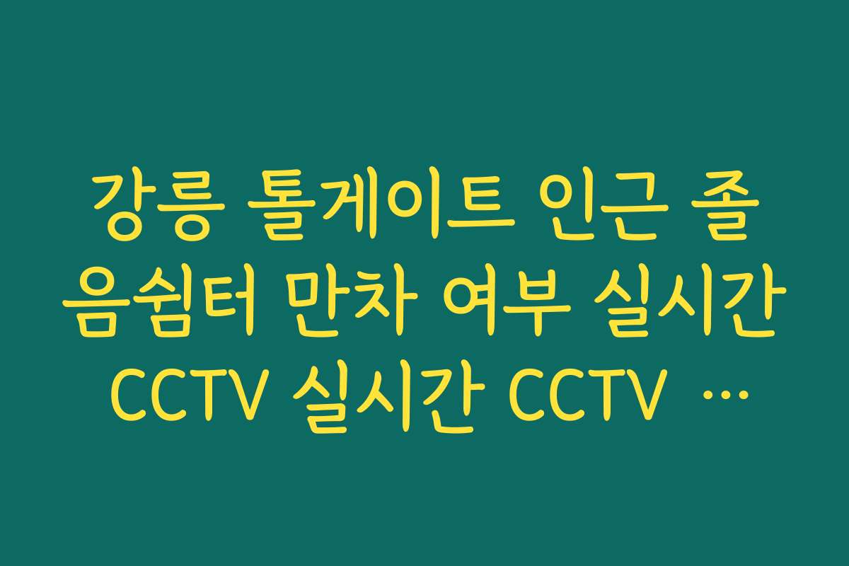강릉 톨게이트 인근 졸음쉼터 만차 여부 실시간 CCTV 실시간 CCTV 확인