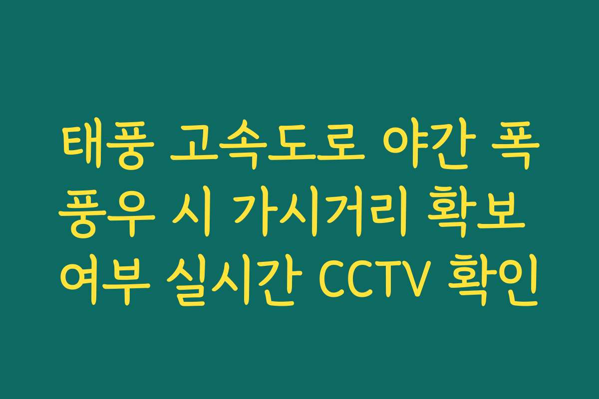태풍 고속도로 야간 폭풍우 시 가시거리 확보 여부 실시간 CCTV 확인