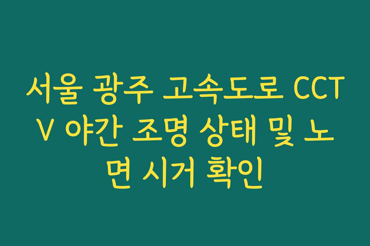 서울 광주 고속도로 CCTV 야간 조명 상태 및 노면 시거 확인