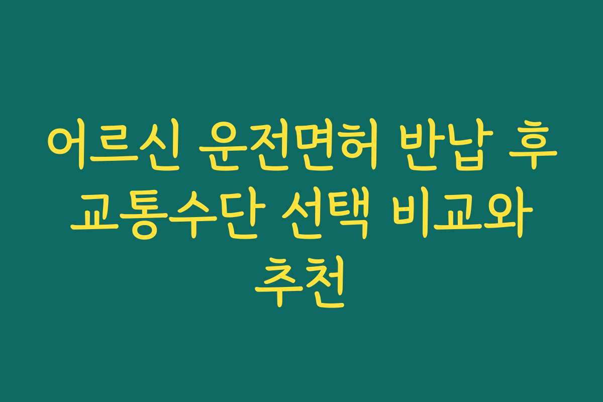 어르신 운전면허 반납 후 교통수단 선택 비교와 추천
