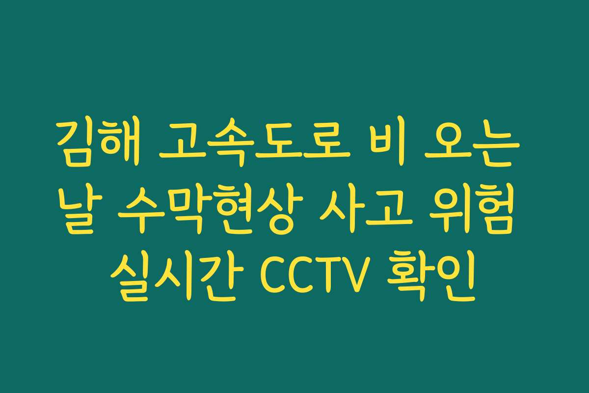 김해 고속도로 비 오는 날 수막현상 사고 위험 실시간 CCTV 확인 김해 고속도로 비 오는 날 수막현상 사고 위험 실시간 CCTV 확인